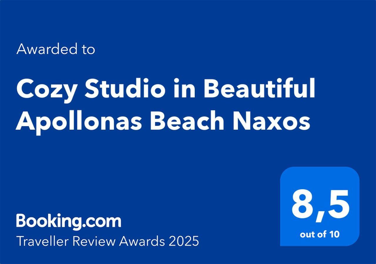 Cozy Studio In Beautiful Apollonas Beach Naxos Apollon  ภายนอก รูปภาพ
